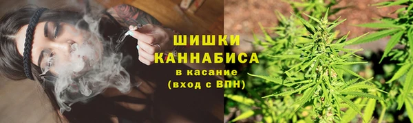 гидра Козельск