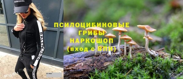 дживик Фёдоровский