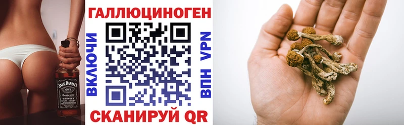 Купить  Минусинск  Галлюциногенные грибы Psilocybine cubensis 
